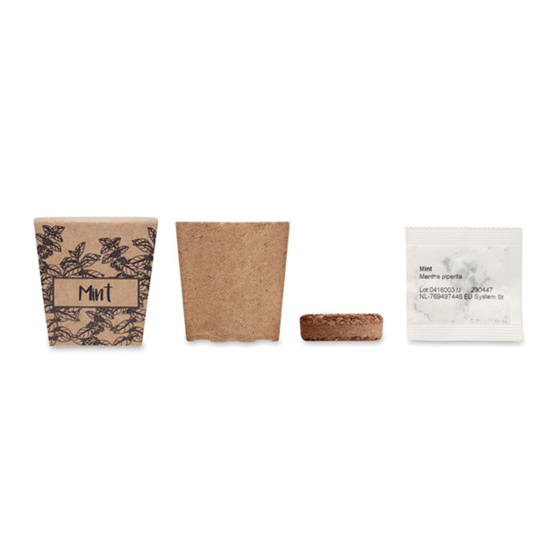 Biodegradable flower pot - Image 2